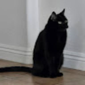 Meet your Posher, Joshua